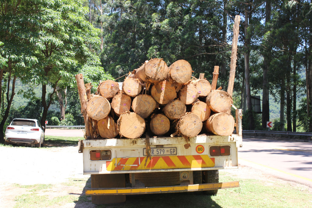 Logging Accidents